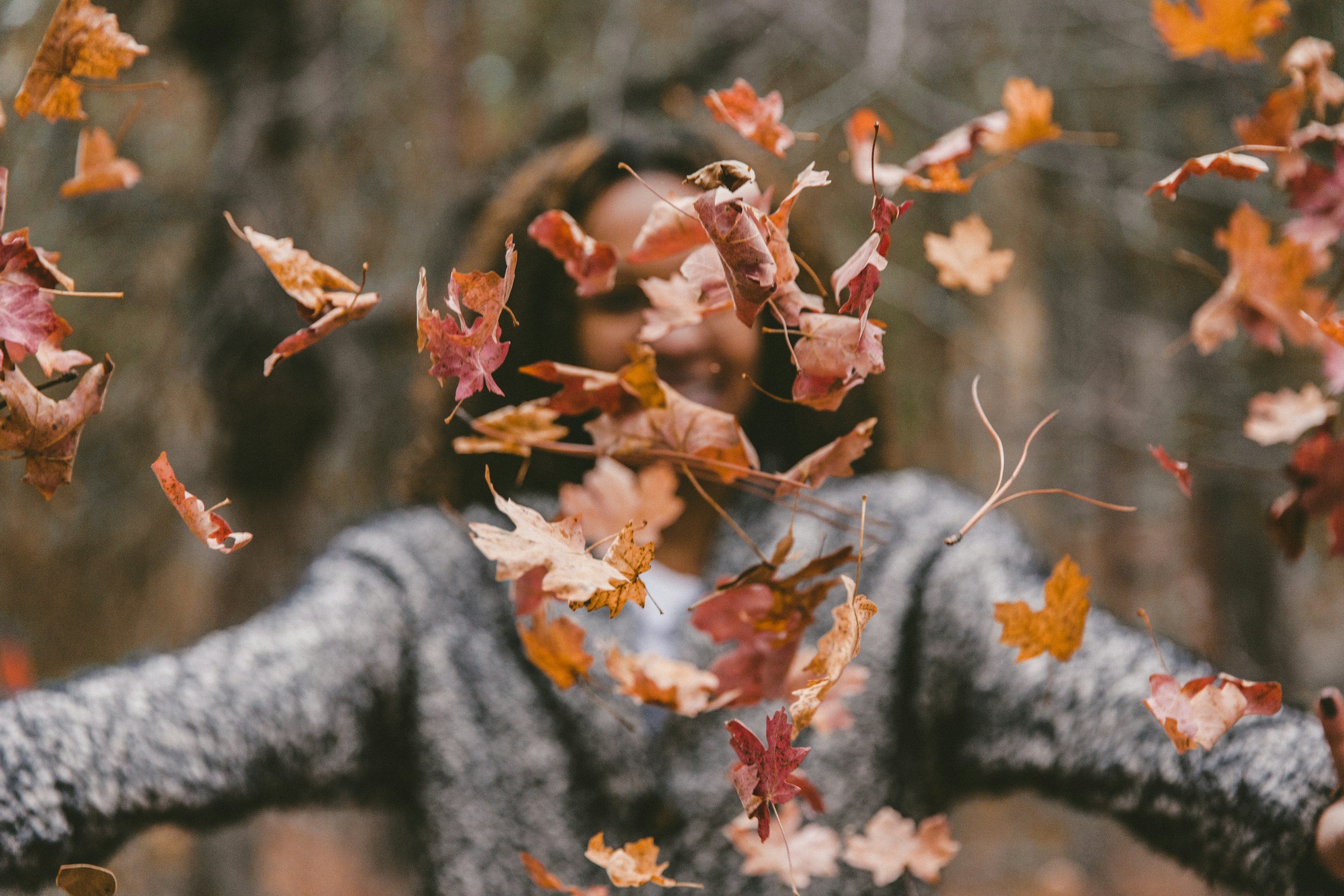 Autumn trees at a woodland retreat