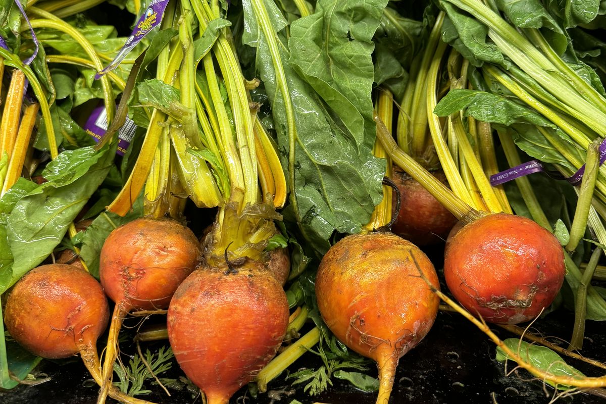 Freshly pulled golden beets and rainbow chard