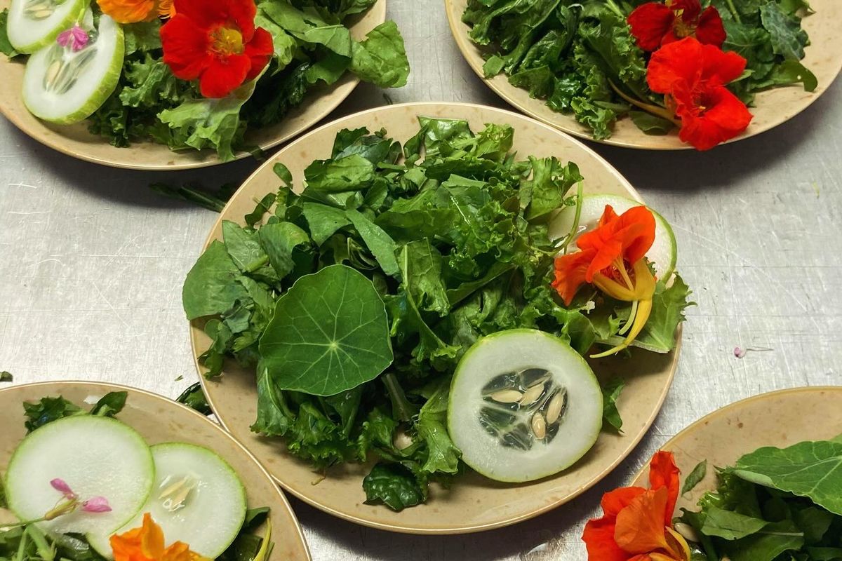 Garden salads with cucumber and nasturtium blossoms served on compostable plates