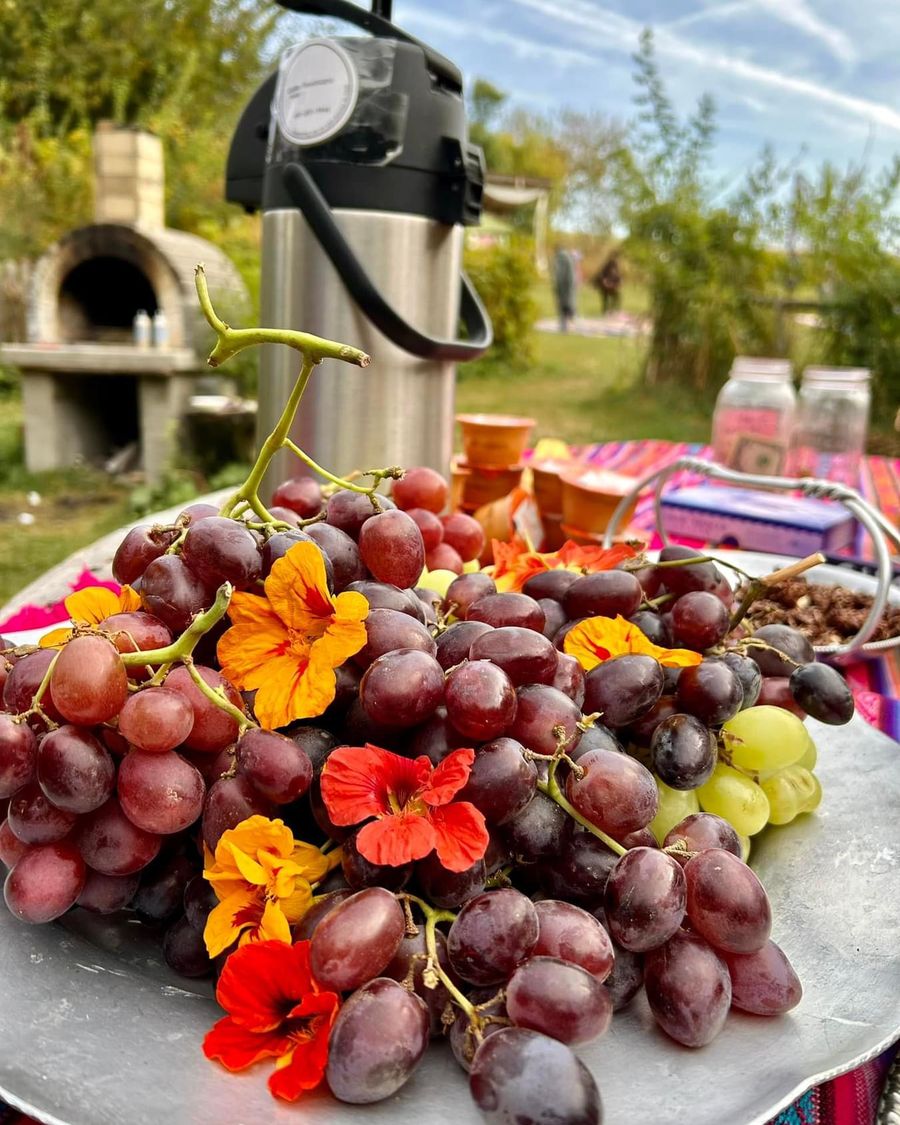 A platter of grapes dressed with orange nasturtium flowers